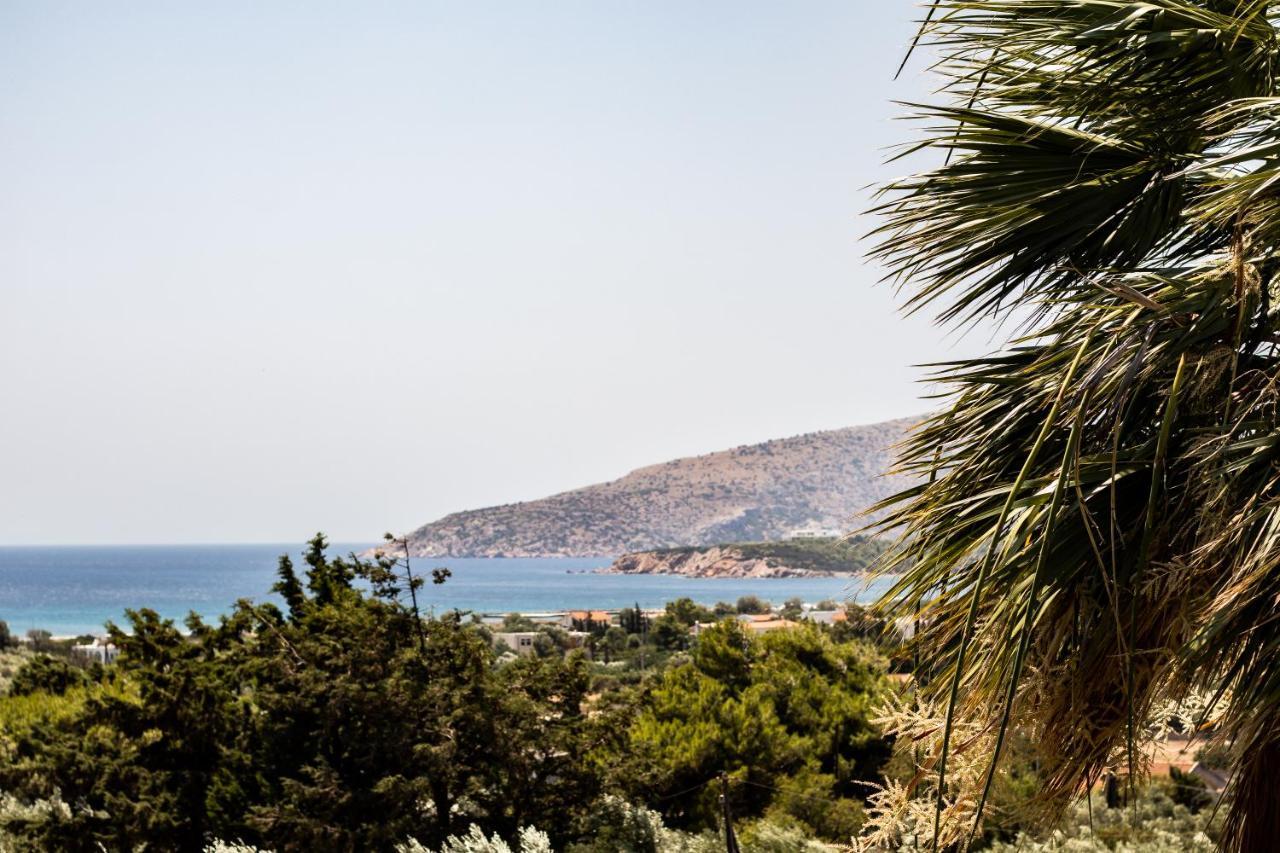 Villa Sounio Сунион Экстерьер фото